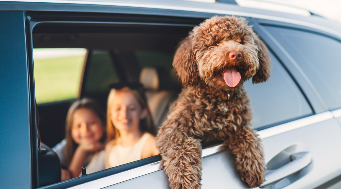 How-to-Keep-Your-Car-Clean-With-Kids-and-Pets